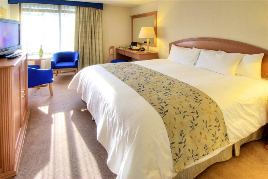 Hotel Las Trojes Aguascalientes Zimmer foto